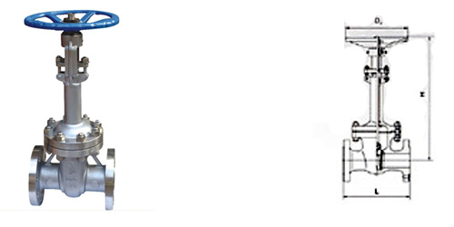 DZ41Y美标低温闸阀